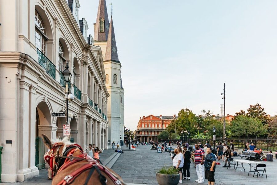 New Orleans: French Quarter Sightseeing Carriage Ride - Seeing the French Quarter from a slower seat