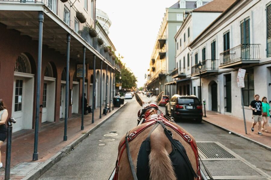 New Orleans: French Quarter Sightseeing Carriage Ride - Napoleon House, the French Market, and Bourbon Street