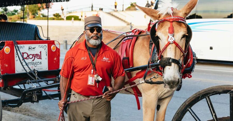 New Orleans: French Quarter Sightseeing Carriage Ride - Who will enjoy this carriage ride most