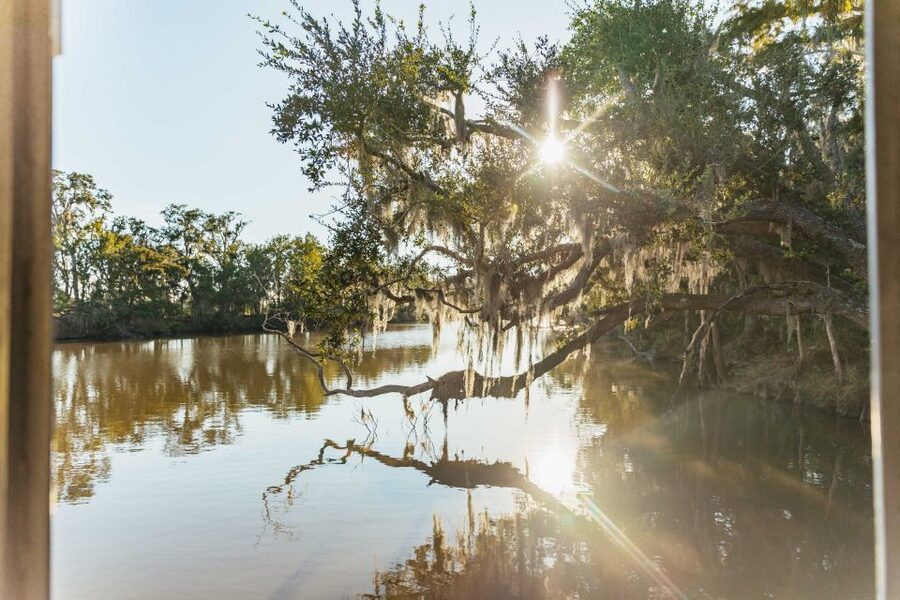 New Orleans: Guided Swamp Cruise by Tour Boat - A 100-minute route through Jean Lafitte National Historical Park and Preserve