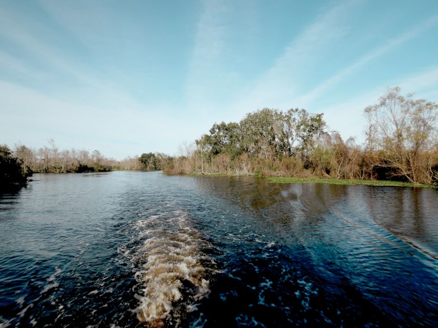 New Orleans: High Speed 16 Passenger Airboat Ride - Booking and timing advice