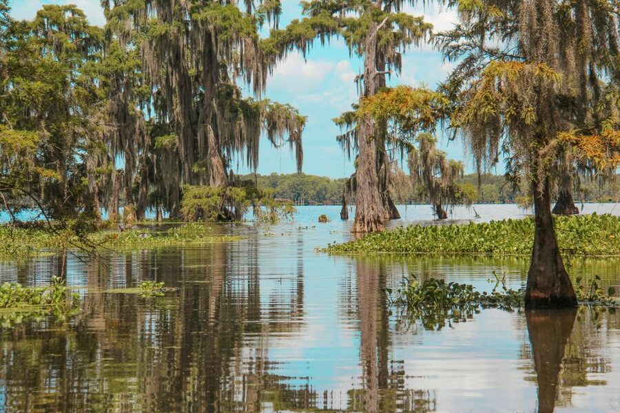 New Orleans: High Speed 9 Passenger Airboat Tour - Who should take this airboat tour?