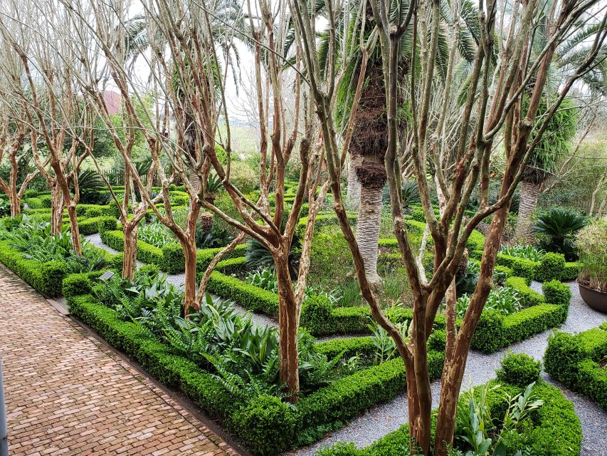 New Orleans: Laura Creole Plantation Guided Tour - Price, timing, and practical value