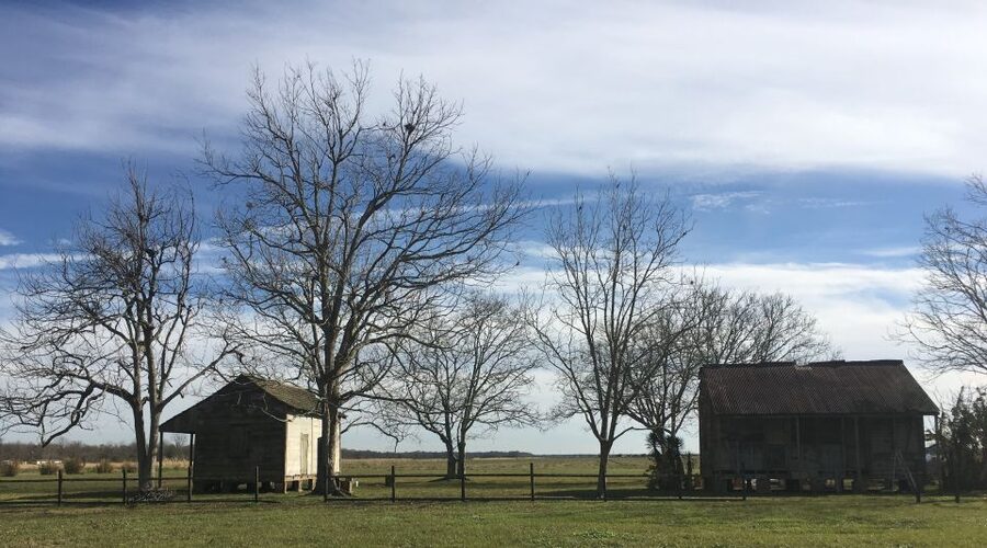 New Orleans: Laura Creole Plantation Guided Tour - Why Laura Plantation feels different