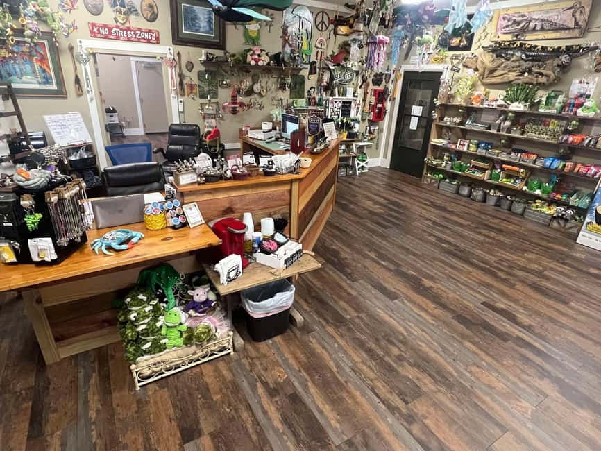 New Orleans Manchac Bayou Swamp Cruise W/ Optional Pick-Up - How much value do you get for $35?