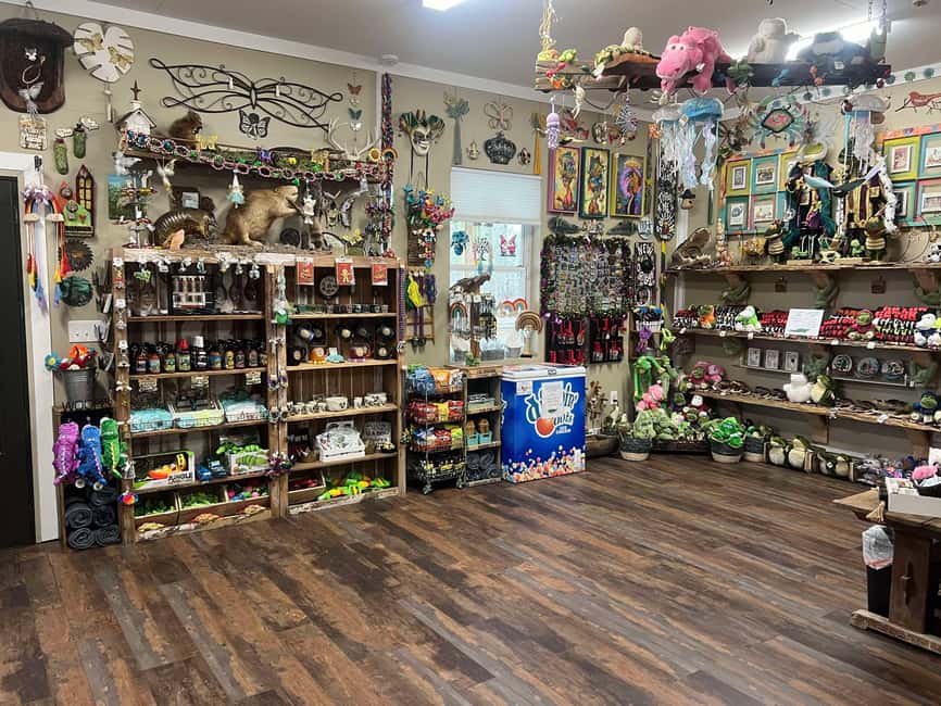 New Orleans Manchac Bayou Swamp Cruise W/ Optional Pick-Up - Who should book this Louisiana swamp outing?
