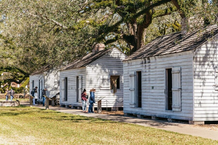 New Orleans: Oak Alley Plantation & Airboat Swamp Combo Tour - Who will enjoy this tour most?