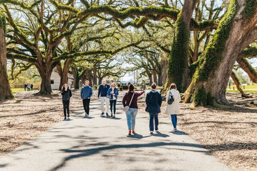 New Orleans: Oak Alley Plantation & Airboat Swamp Combo Tour - Practical ways to make the day better
