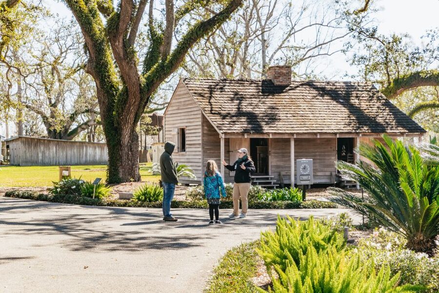 New Orleans: Oak Alley Plantation & Airboat Swamp Combo Tour - Should you book Oak Alley and the airboat?