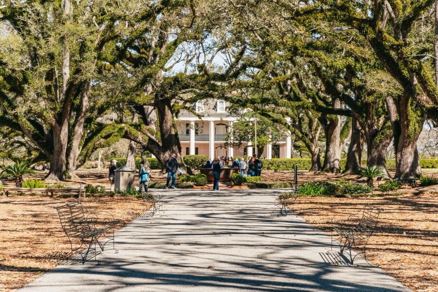 New Orleans: Oak Alley Plantation & Airboat Swamp Combo Tour - Oak Alley’s grand entrance and difficult past