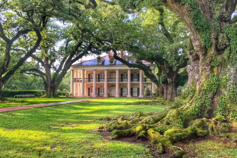 New Orleans: Oak Alley Plantation Tour with Transportation - First view of the quarter-mile oak avenue