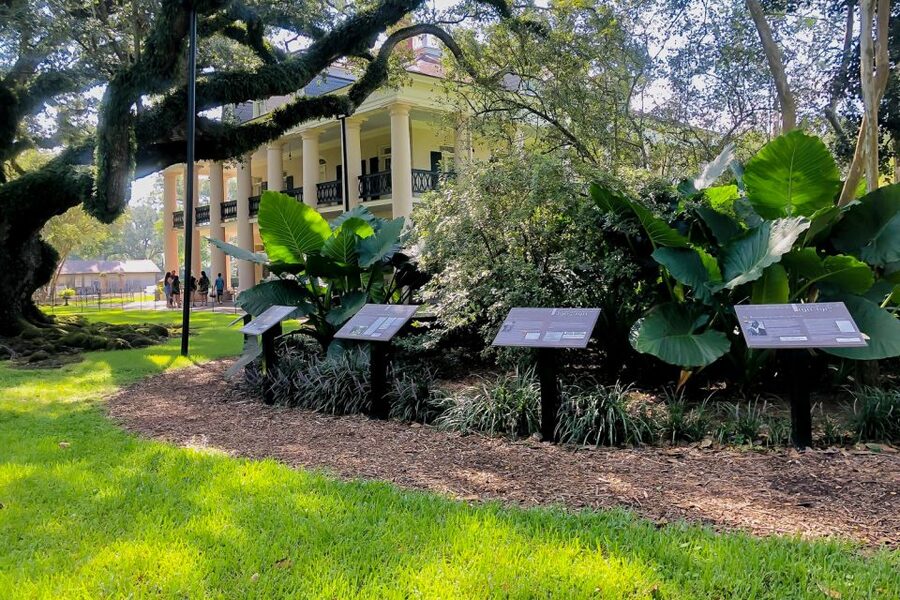 New Orleans: Oak Alley Plantation Tour with Transportation - The slavery exhibit and reconstructed cabins