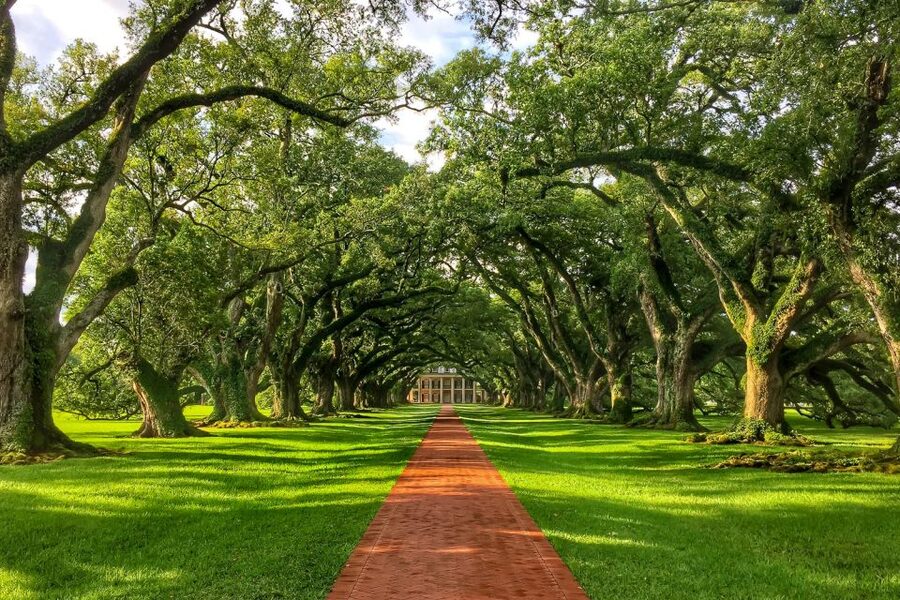 New Orleans: Oak Alley Plantation Tour with Transportation - Inside the 1839 Greek Revival Big House