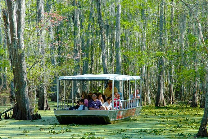 New Orleans Self-Transport Swamp and Bayou Boat Tour - Why Honey Island Swamp makes a good New Orleans side trip