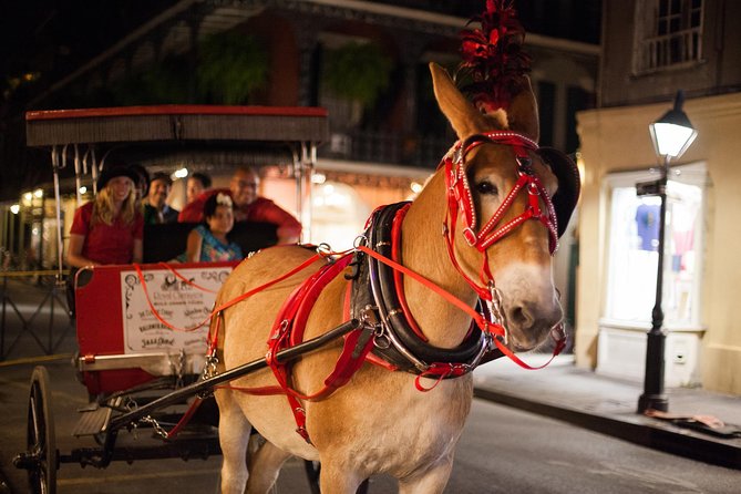 New Orleans Small-Group Haunted History Carriage Tour - The mule-drawn carriage sets the mood
