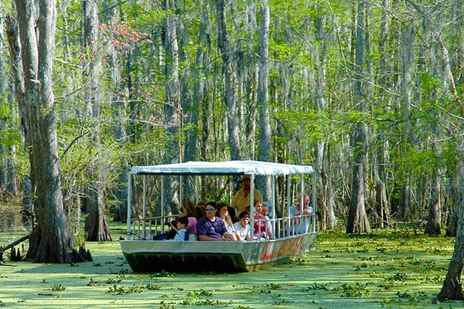 New Orleans Swamp and Bayou Boat Tour with Transportation - Cajun culture and the boat-accessible village