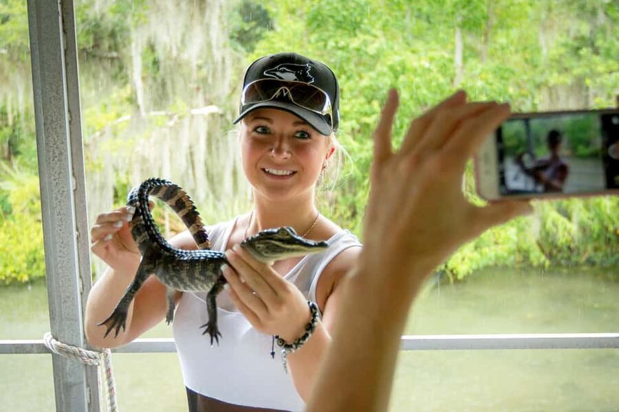 New Orleans: Swamp Boat Ride & Oak Alley Plantation Tour - Two Louisiana worlds in one long day