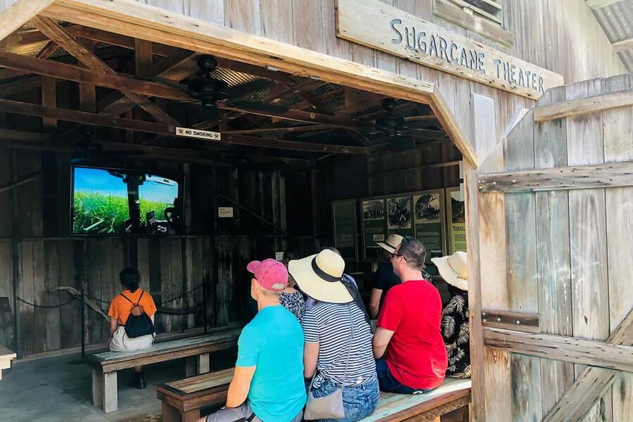 New Orleans: Swamp Boat Ride & Oak Alley Plantation Tour - Why the guides make a difference