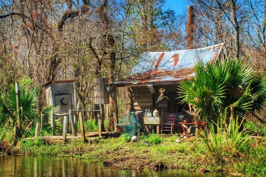 New Orleans: Swamp Boat Ride & Oak Alley Plantation Tour - Who should book this Oak Alley and swamp tour?