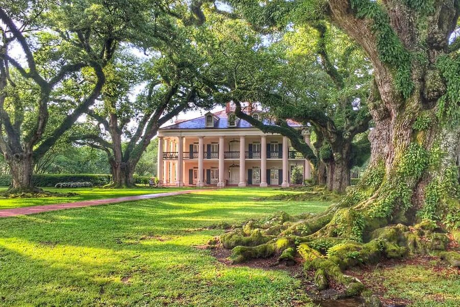 New Orleans: Swamp Boat Ride & Oak Alley Plantation Tour - Oak Alley begins with the trees