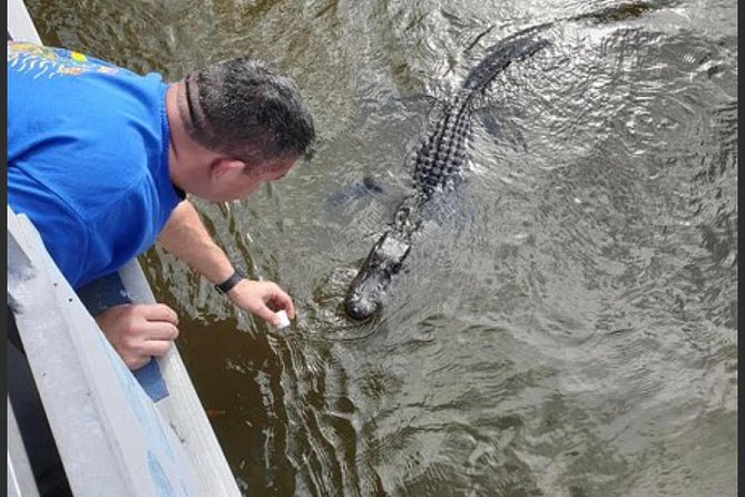 New Orleans Swamp Tour Boat Adventure - The Captains Are a Major Part of the Value