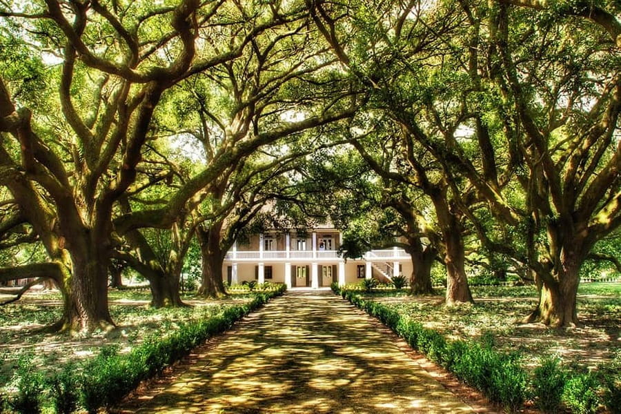 New Orleans: Whitney Plantation Tour with Transportation - Following the 14-stop audio route