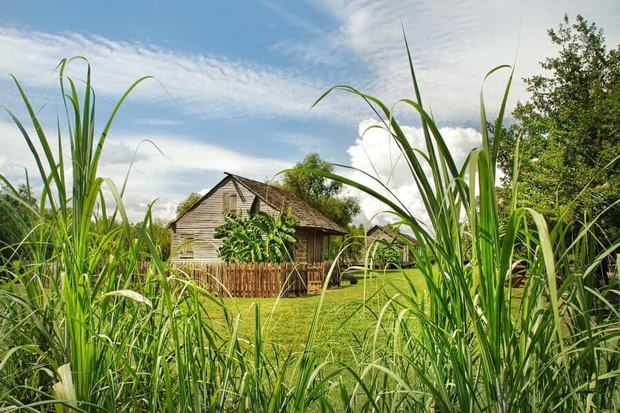 New Orleans: Whitney Plantation Tour with Transportation - Is $89 a fair price?
