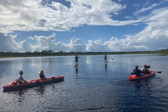New Smyrna Dolphin and Manatee Kayak and SUP Adventure Tour - What the New Smyrna paddle is really like