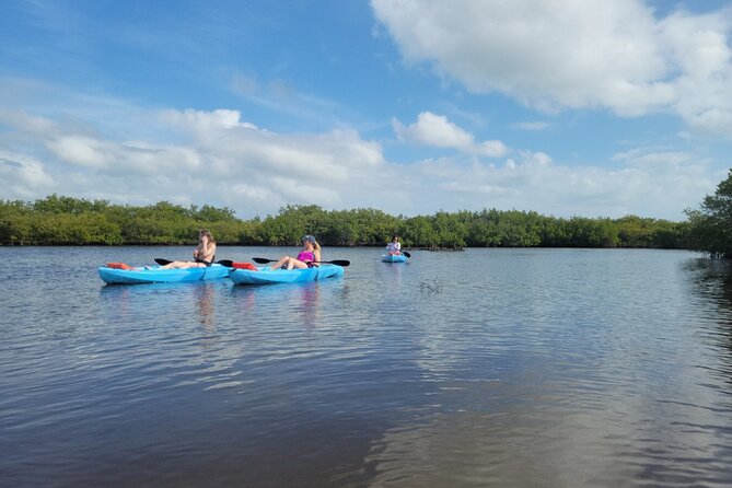 New Smyrna Dolphin and Manatee Kayak and SUP Adventure Tour - Dolphins, turtles, birds, and smaller surprises