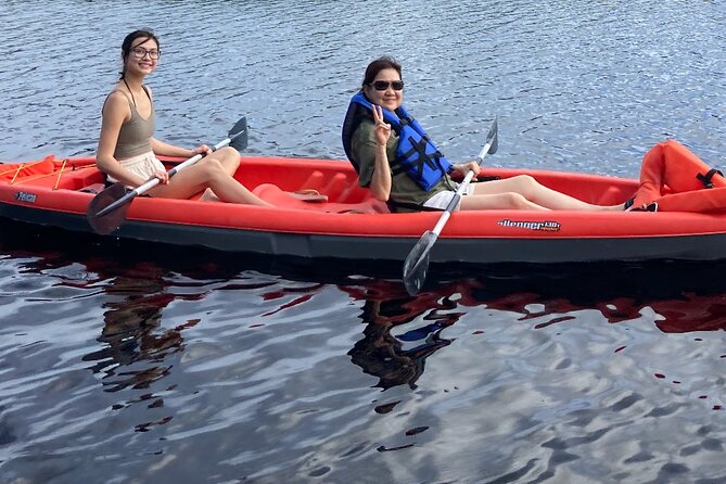 New Smyrna Dolphin and Manatee Kayak and SUP Adventure Tour - Timing, weather, and practical planning