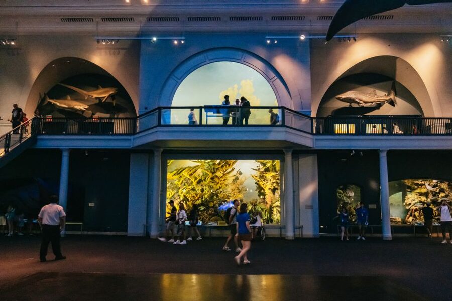 New York City: American Museum of Natural History Ticket - The Richard Gilder Center’s modern approach