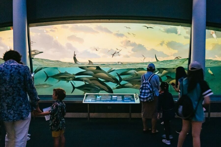 New York City: American Museum of Natural History Ticket - Ticketed exhibits that can change the value