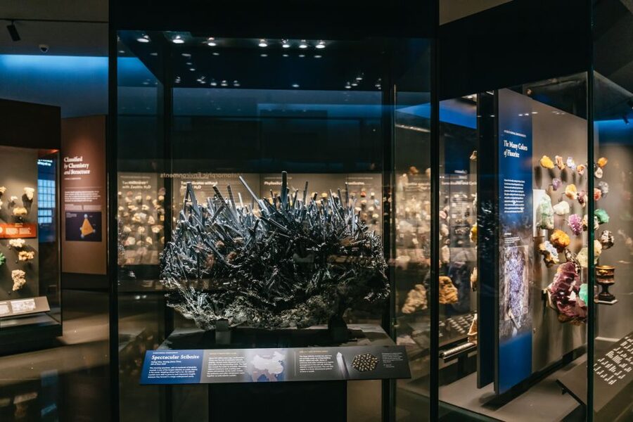 New York City: American Museum of Natural History Ticket - Finding your way through a very large museum