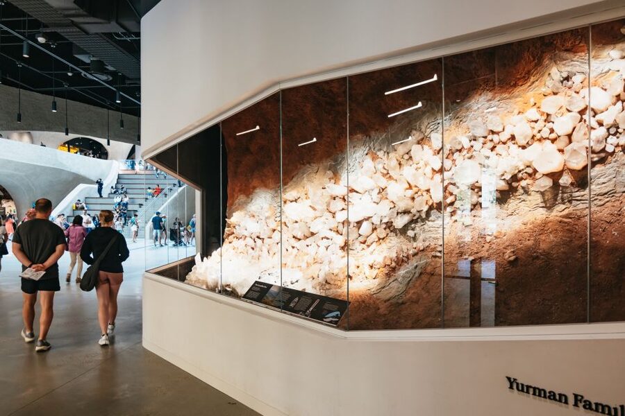 New York City: American Museum of Natural History Ticket - Crowds, comfort, and accessibility