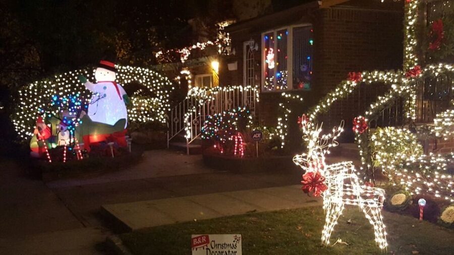 New York City: Dyker Heights Christmas Lights Tour - Why Dyker Heights feels different from ordinary Christmas lights