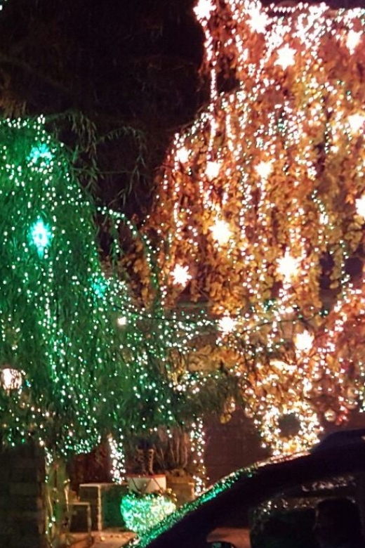 New York City: Dyker Heights Christmas Lights Tour - The guides make or break the evening