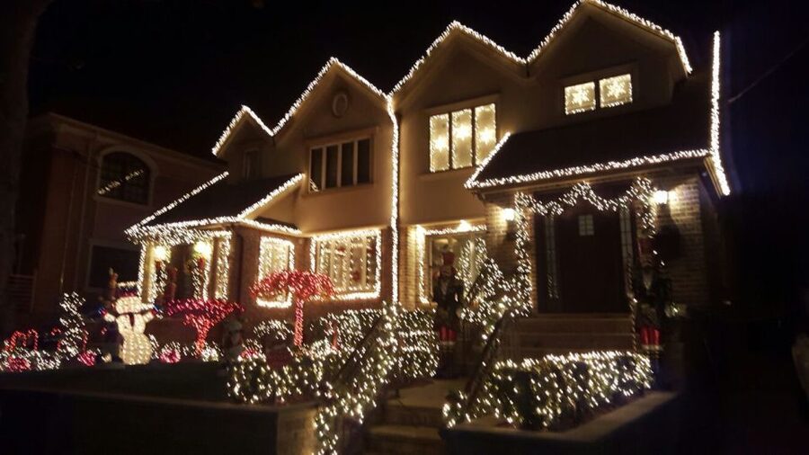 New York City: Dyker Heights Christmas Lights Tour - Who should take this tour