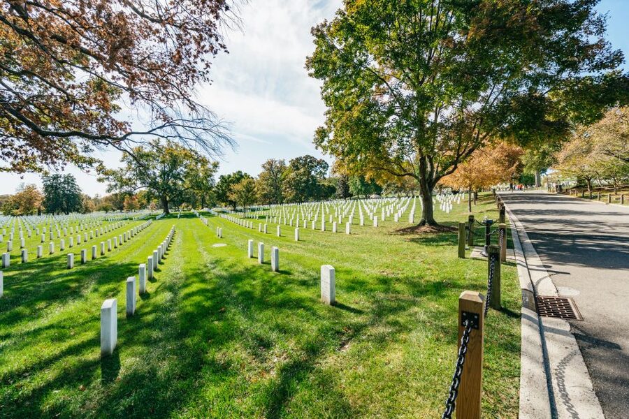 New York City: Full-Day Washington DC City Highlights Tour - Practical ways to make the day easier