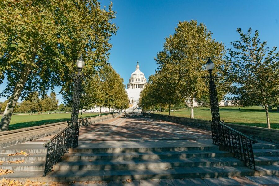 New York City: Full-Day Washington DC City Highlights Tour - The National Mall memorials