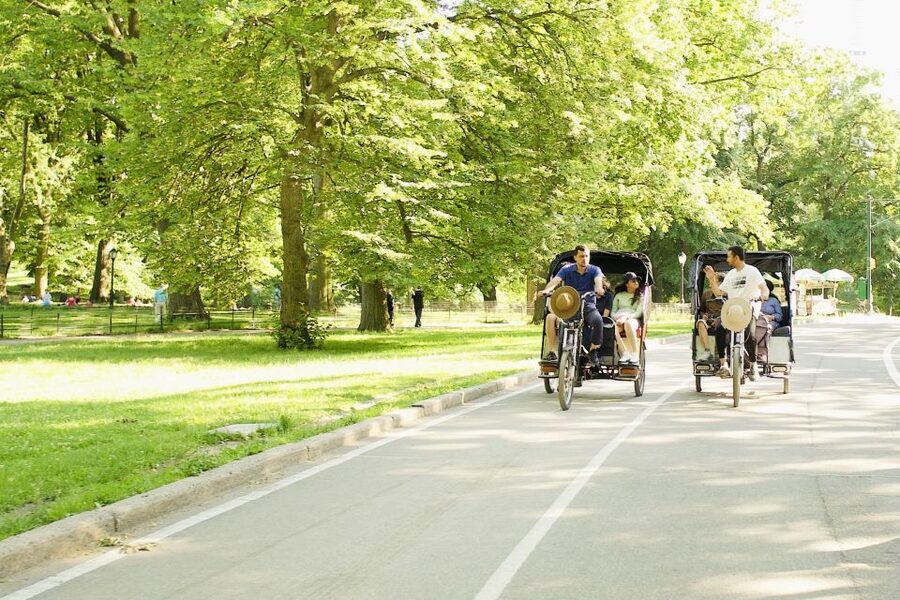 New York City: Private Central Park Pedicab Tour - The Reservoir, Museum Mile, and Belvedere Castle