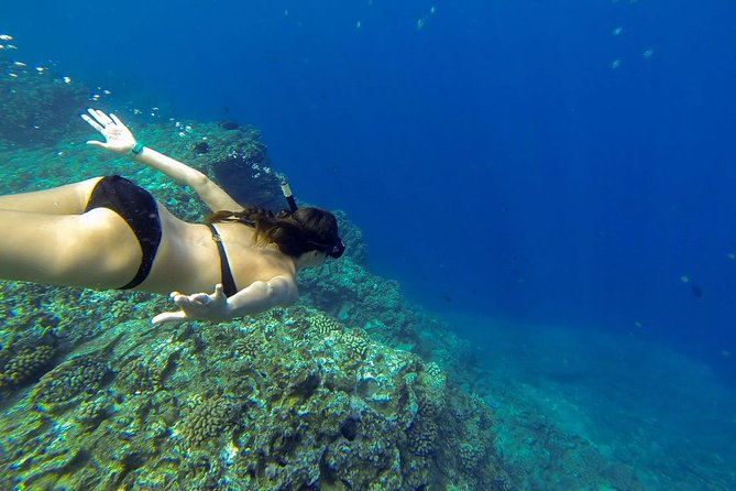 Ni'ihau and Na Pali Coast Snorkel Boat Tour - What happens when the ocean changes the plan