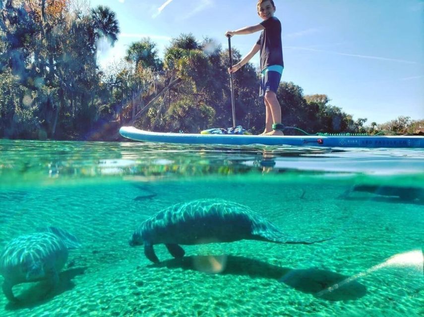 North Miami: Nature & Island Exploration on SUP/Kayak - Key points to know before booking