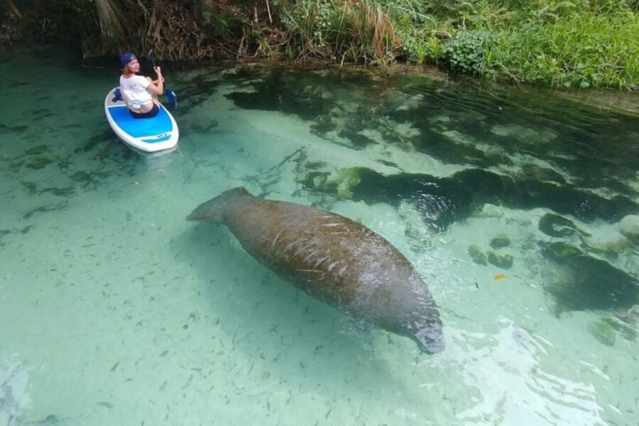 North Miami: Nature & Island Exploration on SUP/Kayak - How the guides shape the experience