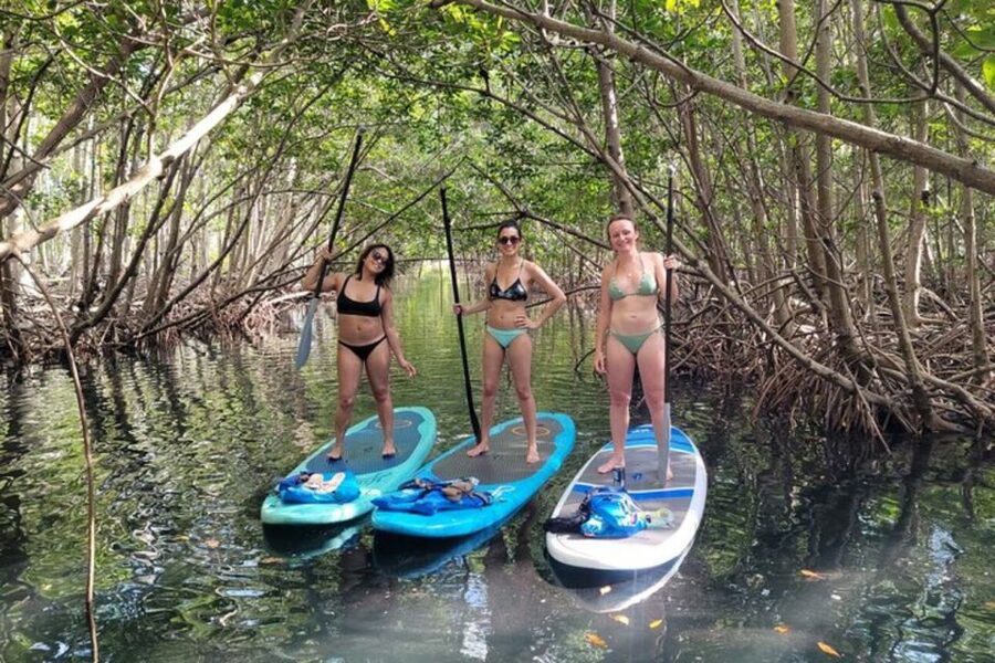 North Miami: Nature & Island Exploration on SUP/Kayak - Weather, effort, and what to pack