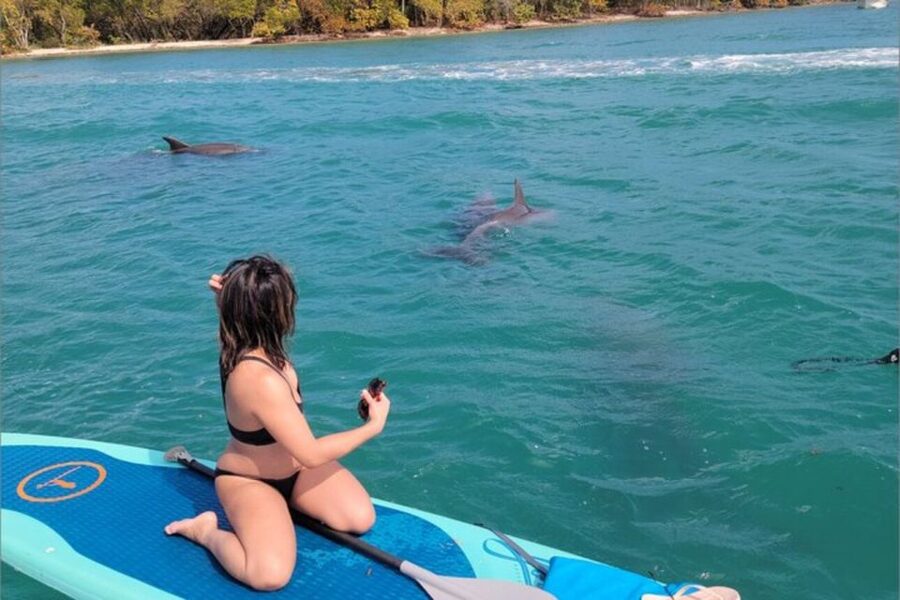 North Miami: Nature & Island Exploration on SUP/Kayak - Paddling through the Osprey Triangle