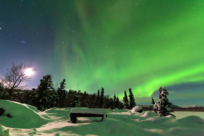 Northern Lights & Arctic Circle Tour - Why this Dalton Highway trip is different
