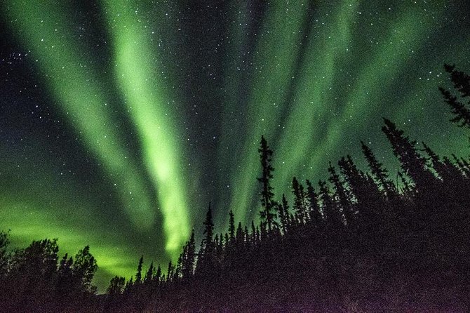 Northern Lights & Arctic Circle Tour - Chasing the aurora on the return drive