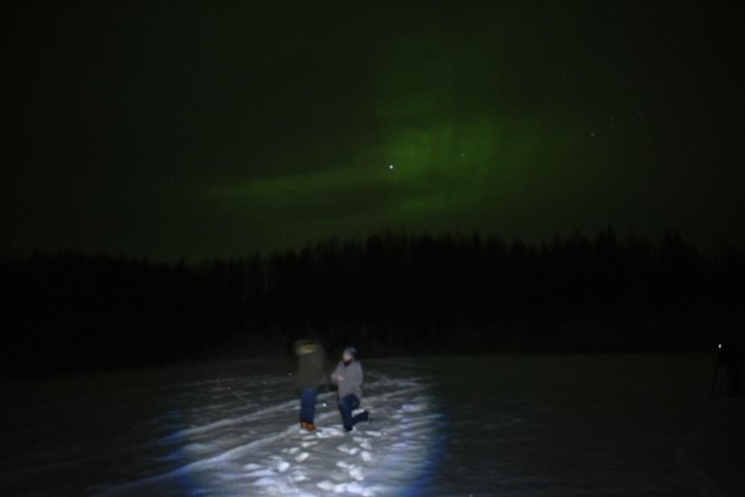 Northern Lights & Chena Hot Springs Tour - Key points to know before you book
