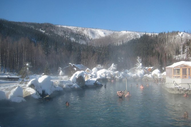Northern Lights & Chena Hot Springs Tour - The guides can make or break the night