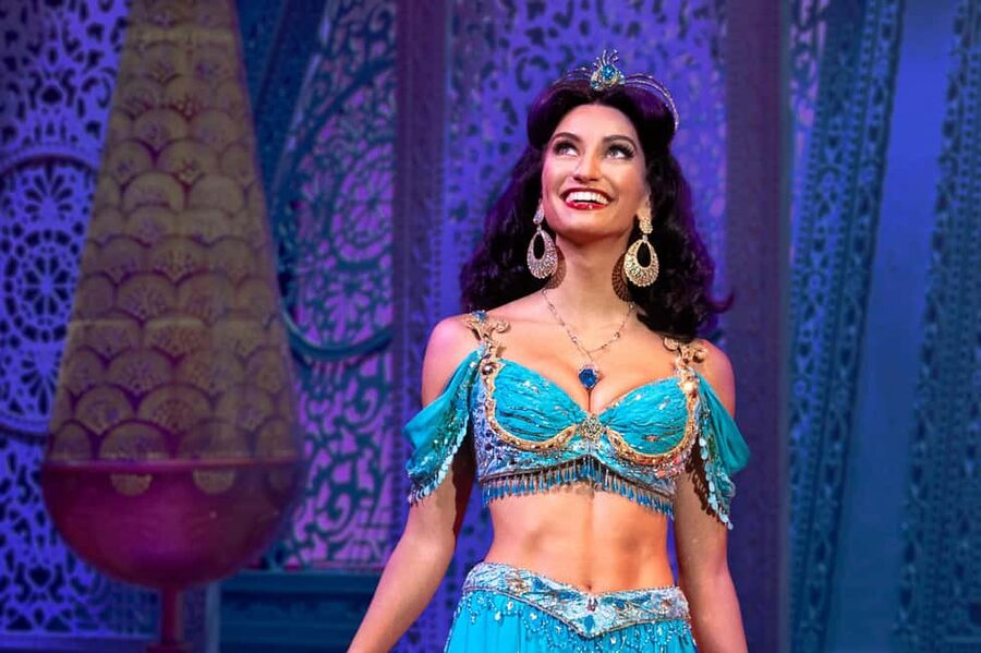 NYC: Aladdin the Musical on Broadway - Cost and what the $83 price really covers
